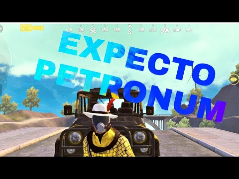 EXPECTO PATRONUM - THE MONTAGE