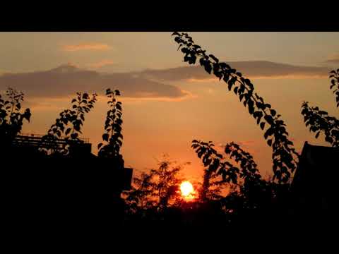 Summer Unplugged 17   Örjan Karlsson (Epidemic Sound)