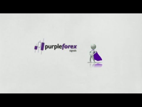 Purple Forex - Install copier EA