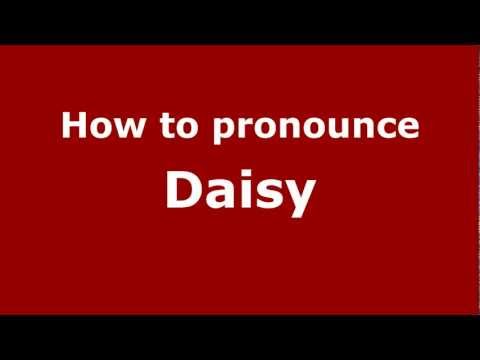 How to Pronounce Daisy - PronounceNames.com