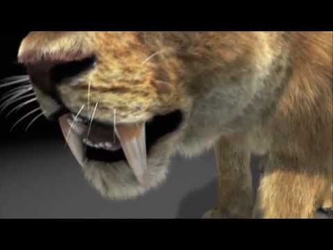 Pixeldust Studios CGI Animation Reel