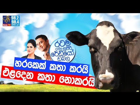 @Siyatha FM MORNING SHOW-2021 10 05 | හරකෙක් කතා කරයි. එළදෙන කතා නොකරයි
