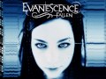 Evanescence - Everybody's Fool 