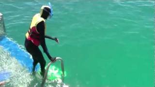 Great Barrier Reef Australia Großes Barriere Riff Australien excursion platform