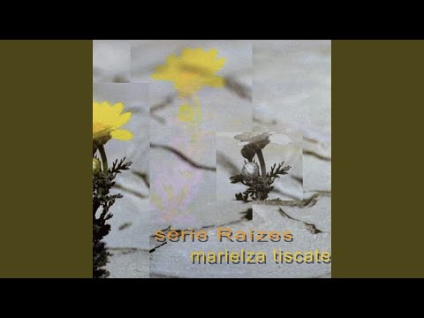 Sorriso De Esperança - Marielza Tiscate