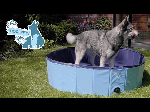 Coolpets Splash Pool