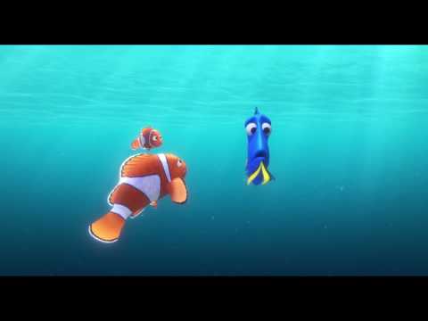 Finding Dory (Clip 'Jewel of Morro Bay California')