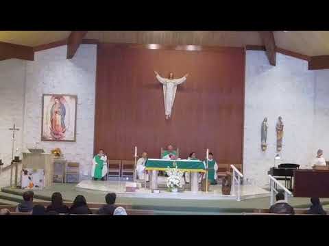 33rd Sunday in Ordinary Time - 8am Morning Mass - Holy Family Church