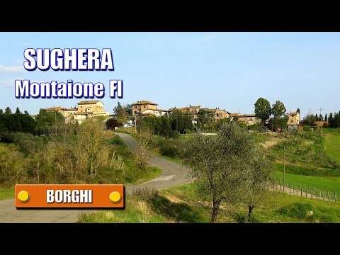SUGHERA: Montaione (FI) - di Sergio Colombini