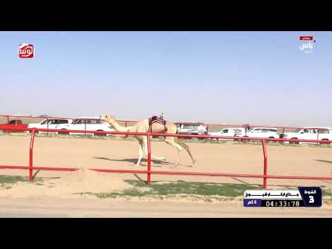  ش 3 (الوزنا) لـ هجن الشحانية 8:45:39 , بطولة الكويت 2026/2/9 ايذاع الشهيد