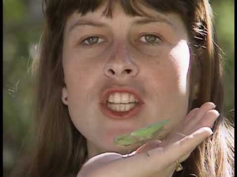 Steeve Irwin The Crocodile Hunter - S01E01