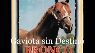 Gaviota sin Destino Bronco