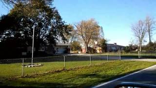 Saw this hanging from a tree in porter county the day after the election