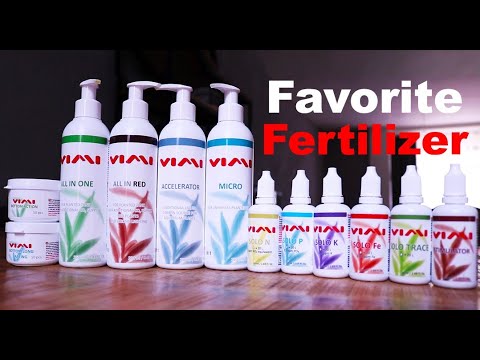 My Favorite Fertilizer & How I Dose My Aquascapes