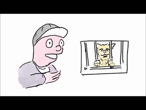 "La Gata y el USB" - Dibujando Huevadas