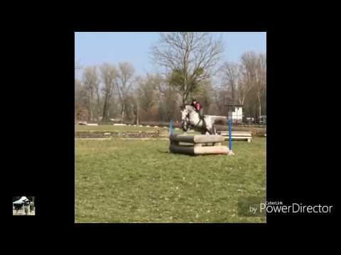 Outdoor Springen / deine pferde videos