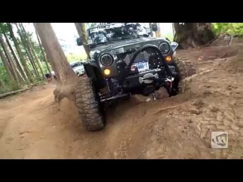 PNW : 2014 JK-Experience Tree Root Teaser