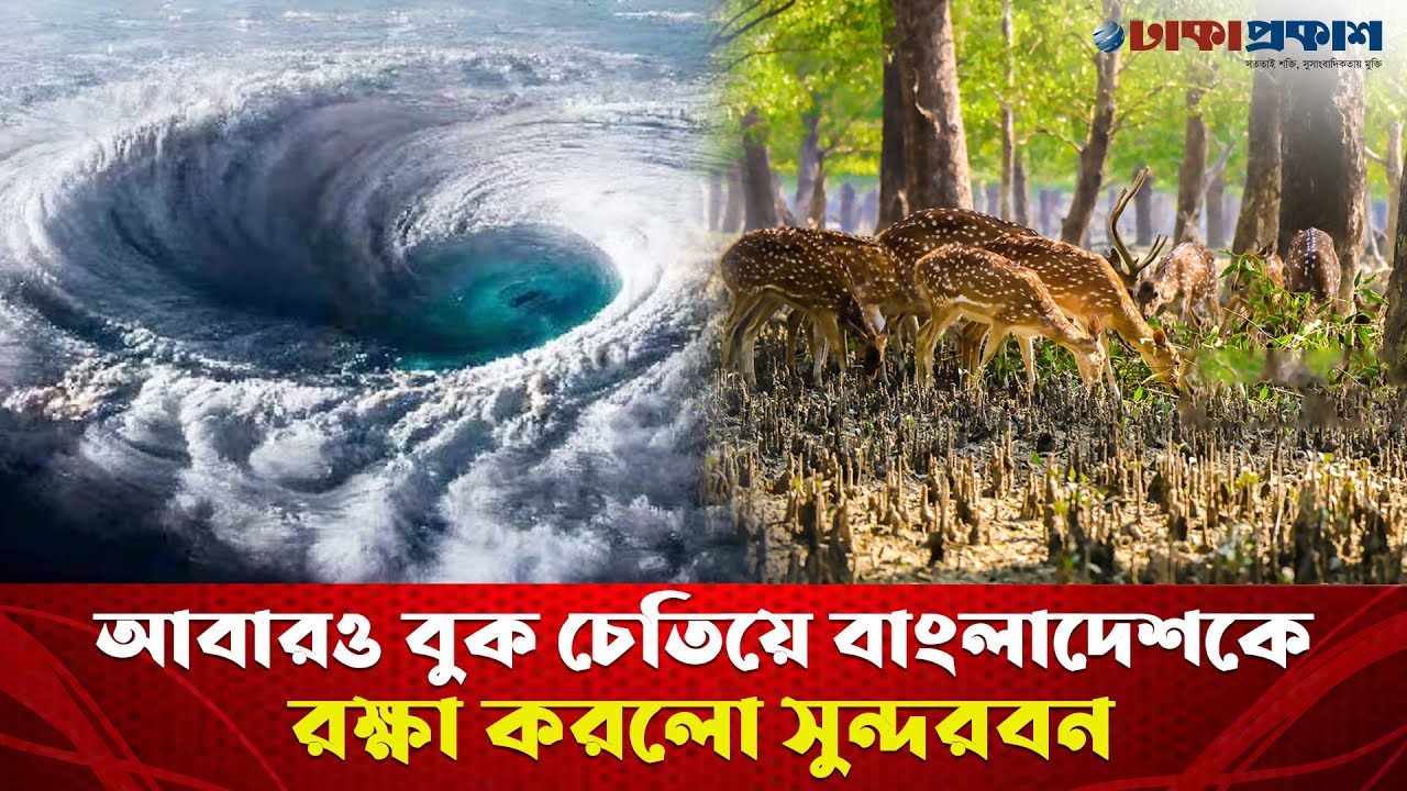 আবারও বুক চেতিয়ে ঢাল হয়ে বাংলাদেশকে রক্ষা করলো সুন্দরবন