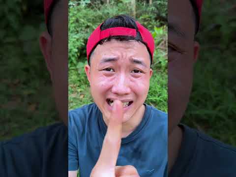 Survival Skills: Useful and Clever #outdoors #survival #campfire #bushcraft