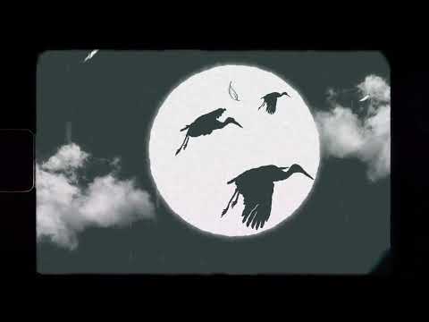 Charlie Rodd & Leo Rizzi - Algo Mejor (Visualizer)