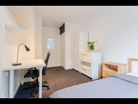 Jerichostraat A2 | Student apartment on perfect location in Kralingen | Rotterdam