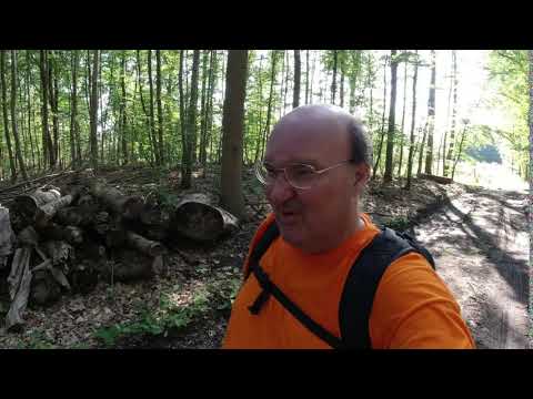MongoTV_3318 - English Vlog_0175 - Part 2 - I Take a Walk With My Cheep Vegatables