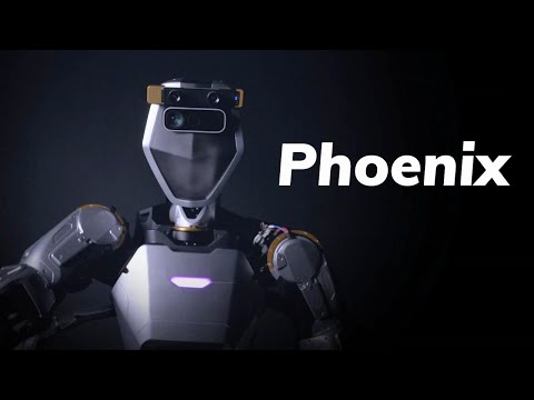 Phoenix Review Video 5
