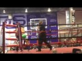 Stevie G The New Champ