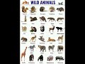 Wild Animals Name 🦁#education #mk #shorts #wild @learnwithmk5825 - Learn  with Mk🦋 Wild Animals Name 🦁#education #mk #shorts #wild @learnwithmk5825