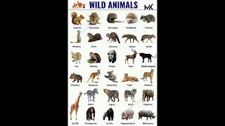 Wild Animals Name 🦁#education #mk #shorts #wild @learnwithmk5825