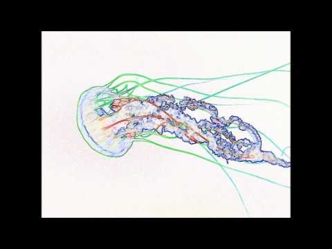 Kujata - Crepper Suzzetes