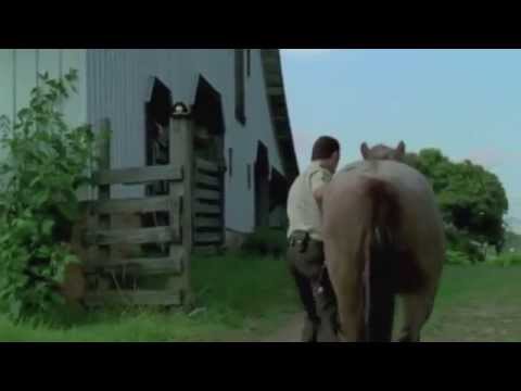 Youtube Kacke: The Walking Dead