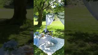 Afternoon Tea Party Idea | Luxury Picnic for Four