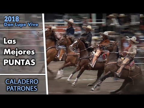 THE BEST TIPS Skippers Fishing Ground - Don Lupe Vive 2018