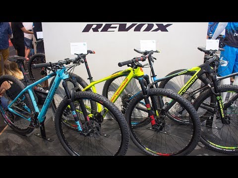 Bergamont Revox Carbon 2018: 29-Zoll-Race-Hardtail | Eurobike 2017