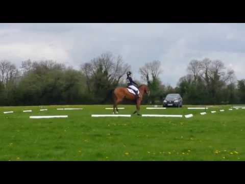 BE90 Dressage Test 97 - 36.5
