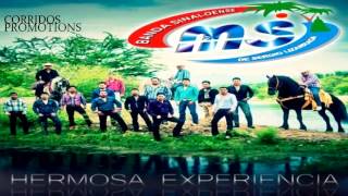 Banda Sinaloense MS de Sergio Lizarraga - Hermosa Experencia (Single 2013)