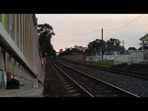 THE GREAT SOUTHERN 6AT8 passing menangle station