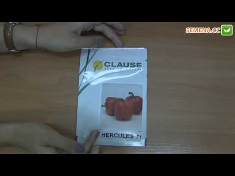 Hercules F1 pepper Clause Antifake