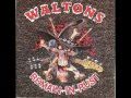 The Waltons - Wayfaring Stranger 