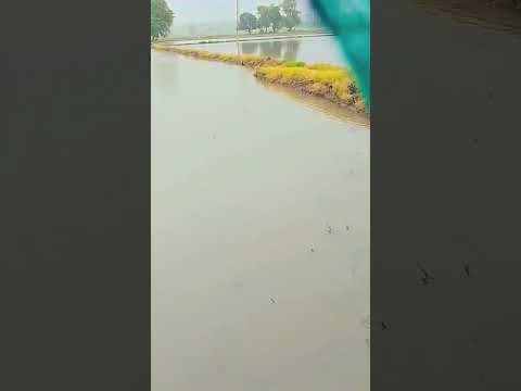 hone lagi barsat Magar #sangramchougule #subhashghai #subhashbhowmick #bengalipoetry