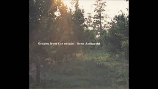 Oren Ambarchi || Grapes From The Estate (2004) Full Album