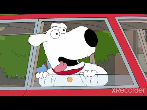 Mindless instrument and just a normal dog combined