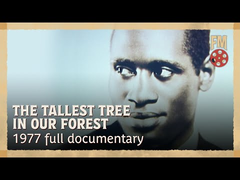 Tallest Tree in Our Forest (1977) | Full Classic Documentary Film