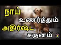 நாய் நமக்கு காட்டும் சகுனங்கள் Dog Sagunam