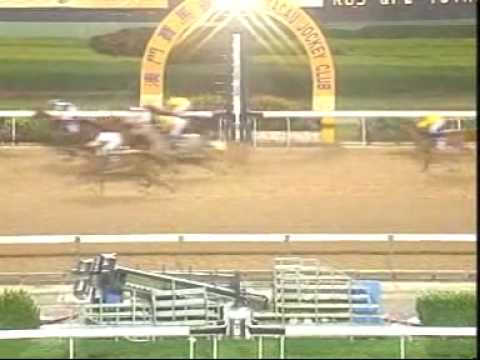 Kings Cross runs solid 2nd for MRC Connections