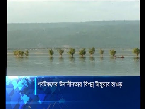 পর্যটকদের উদাসীনতায় বিপন্ন টাঙ্গুয়ার হাওড় | ETV News