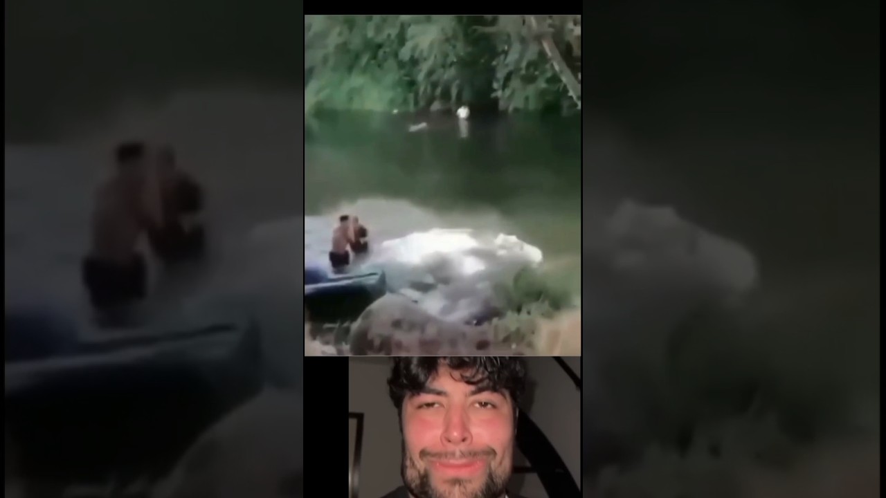 Pin on Funny animals🤣👈