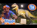 Blippi Visits Dinosaur Exhibition Animals For Kids Animal Cartoons Learn About Animals