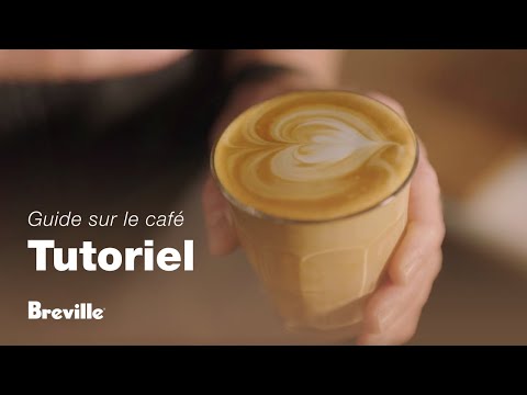 miniature vidéo